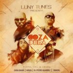 Don Omar Ft. Wisin, El Potro Alvarez Y Yandel - Gozadera